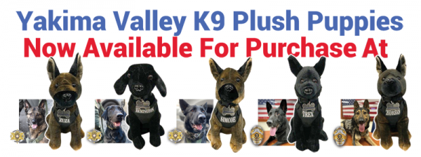K9 Foundation