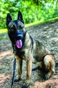 K9 Anita