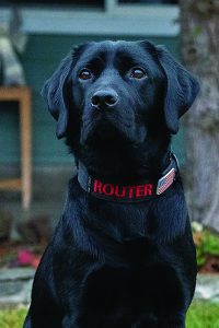 K9 Router